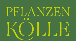Pflanzen-Kölle